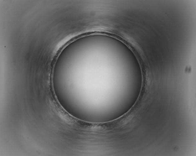X0000112041316200908031507