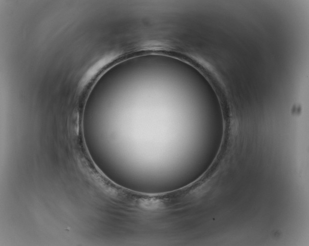 X0000112041317200908031507