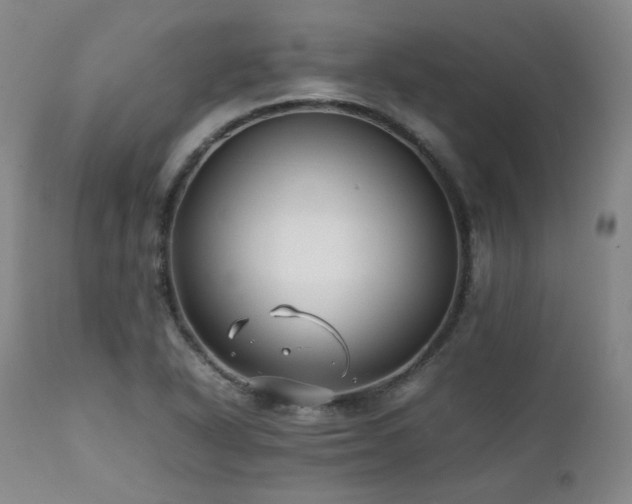 X0000112041318200908031507
