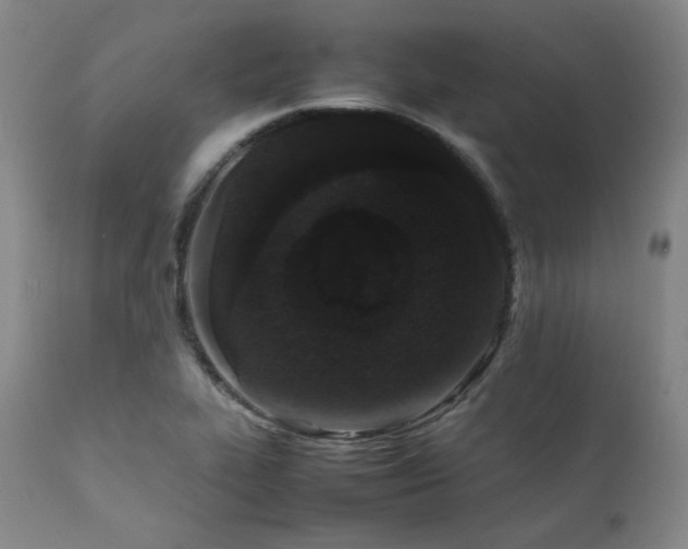 X0000112041319200908031507
