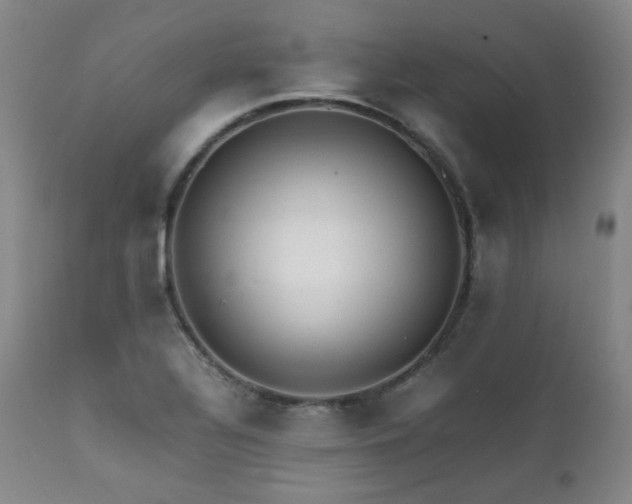 X0000112041320200908031507
