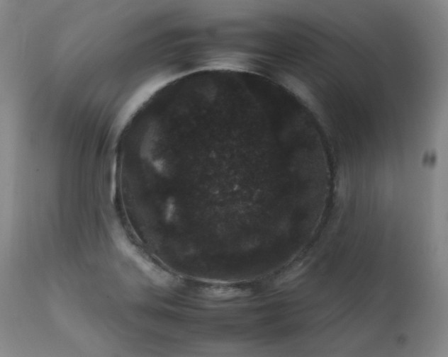 X0000112041323200908031507