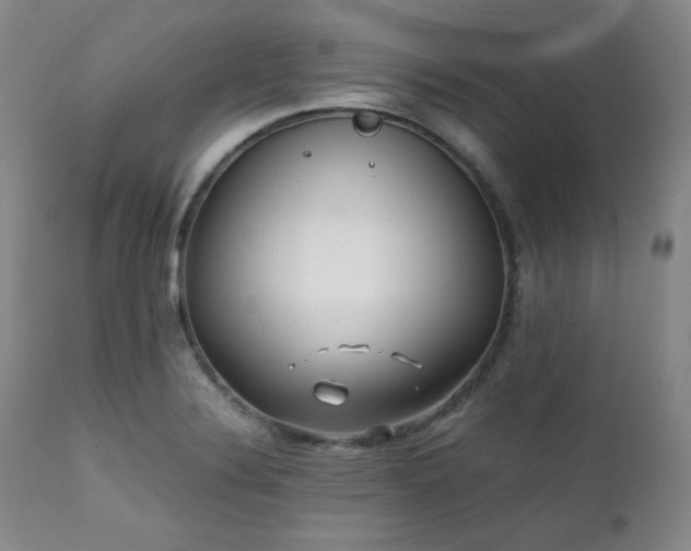 X0000112041324200908031507