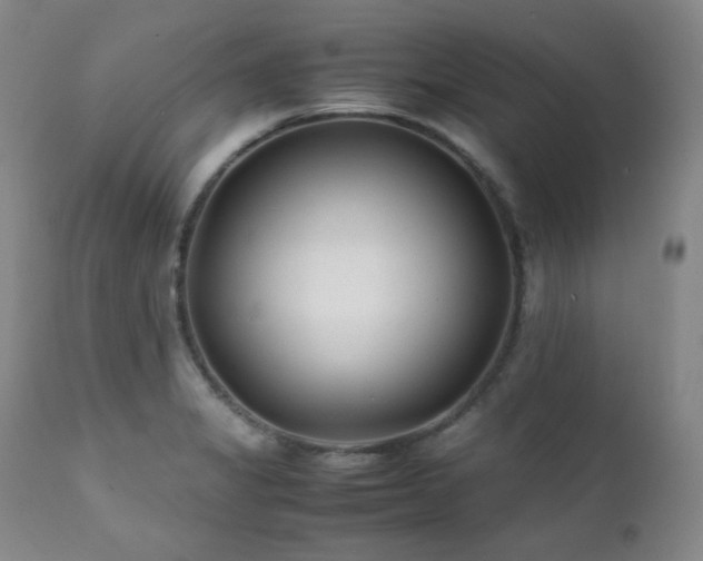 X0000112041325200908031507