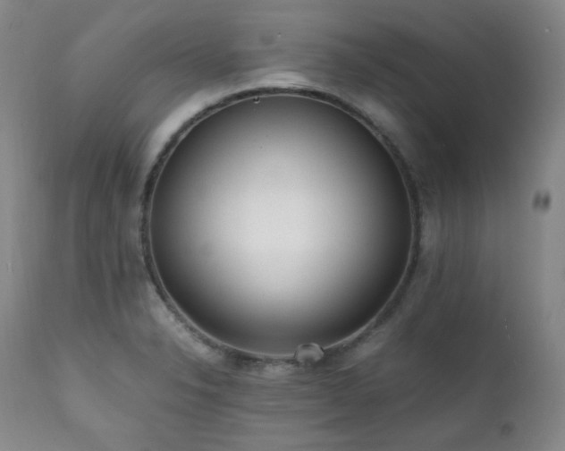 X0000112041326200908031507