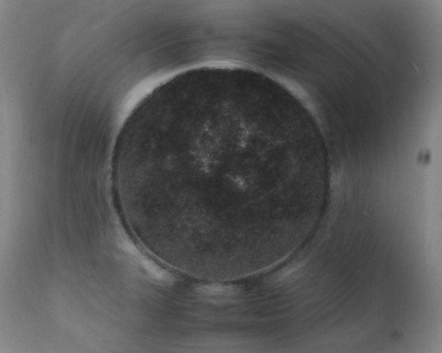 X0000112041327200908031507