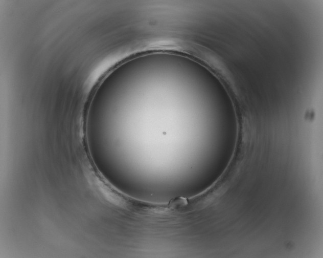 X0000112041328200908031507