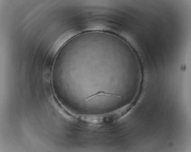 X0000112041329200908031507