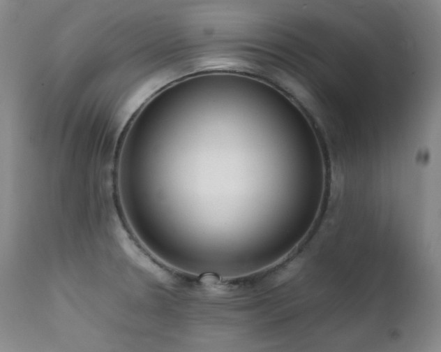 X0000112041330200908031507