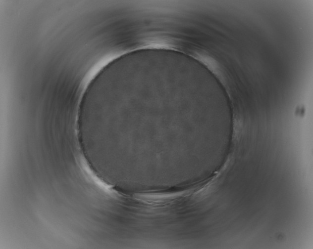 X0000112041331200908031507