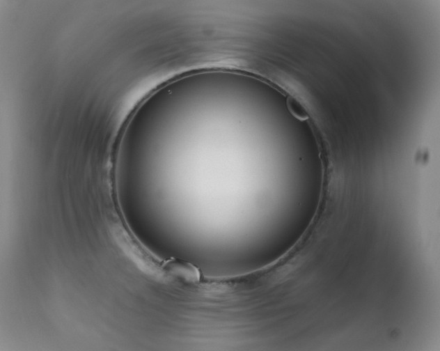 X0000112041332200908031507