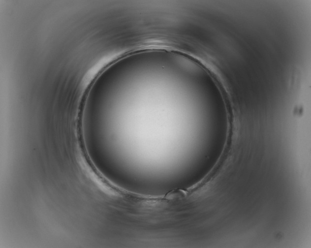 X0000112041333200908031507