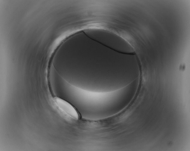 X0000112041334200908031507