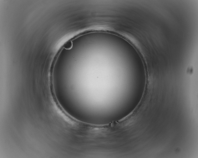X0000112041335200908031507