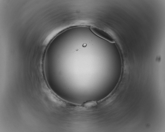 X0000112041336200908031507