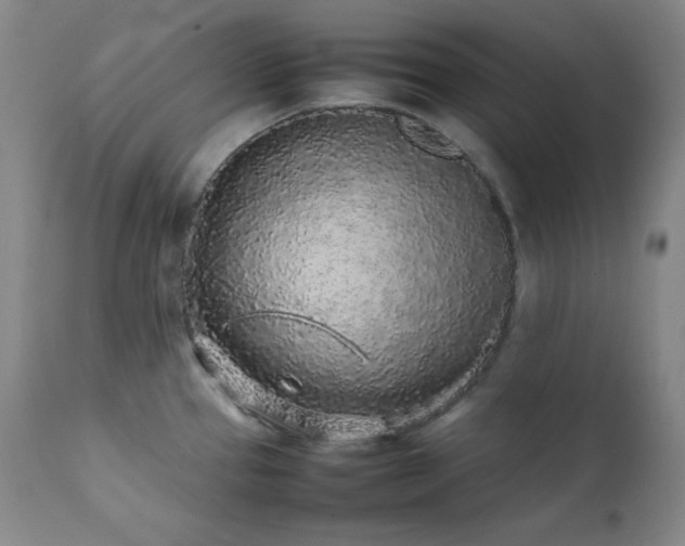 X0000112041337200908031507