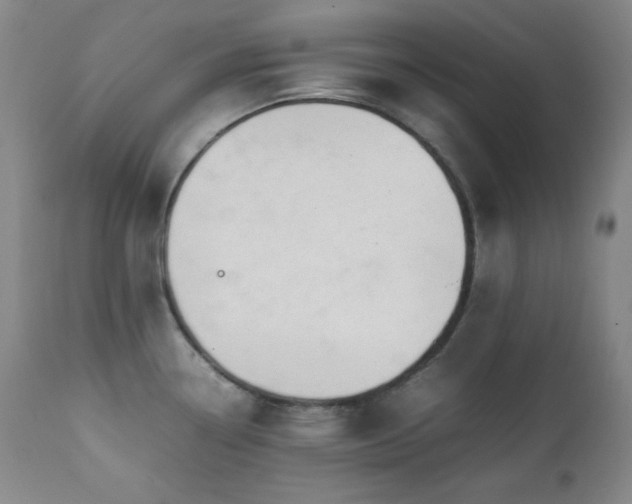 X0000112041338200908031507