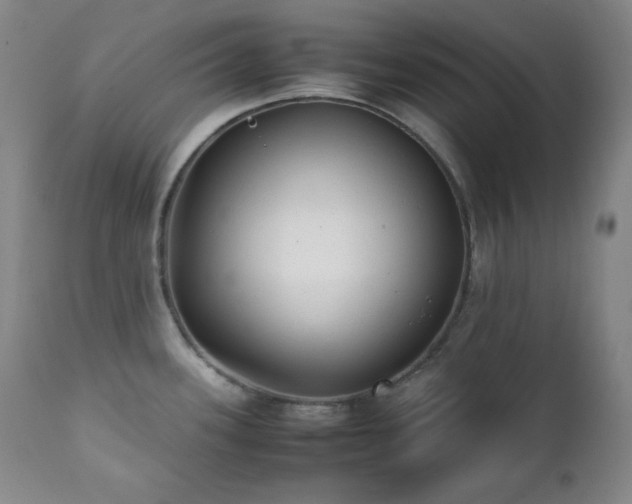X0000112041339200908031507