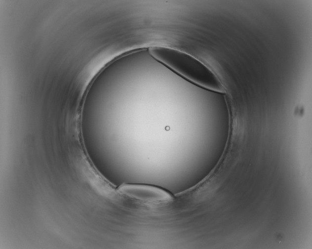 X0000112041340200908031507