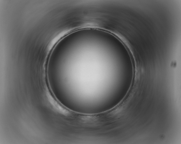 X0000112041341200908031507