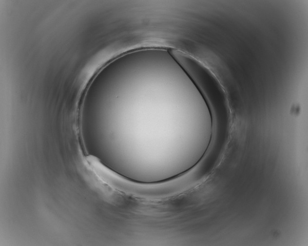 X0000112041342200908031507