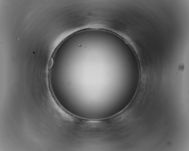 X0000112041343200908031507