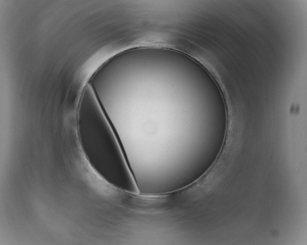X0000112041344200908031507