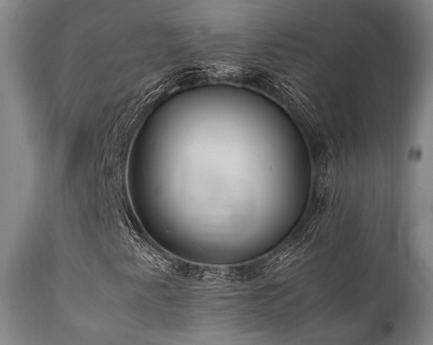 X0000112041345200908031506
