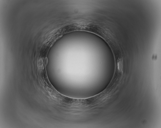 X0000112041347200908031506