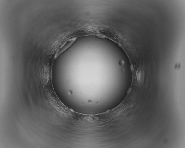 X0000112041348200908031506