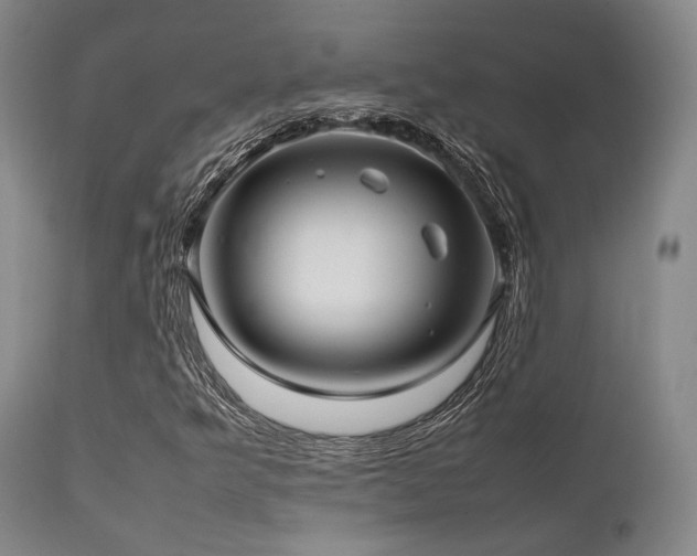X0000112041349200908031506