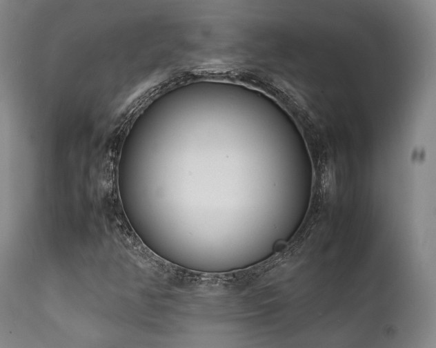 X0000112041350200908031506