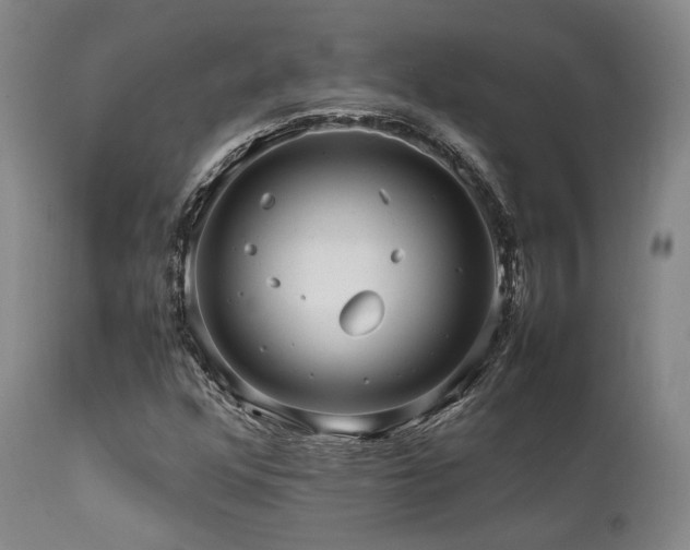 X0000112041352200908031506