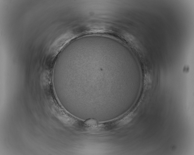X0000112041353200908031506