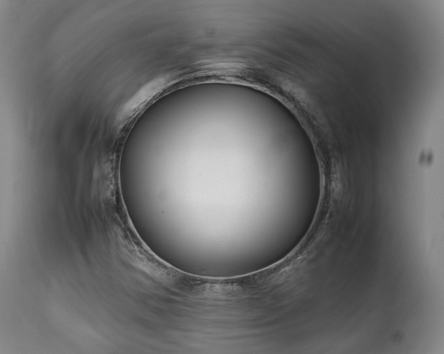 X0000112041354200908031506