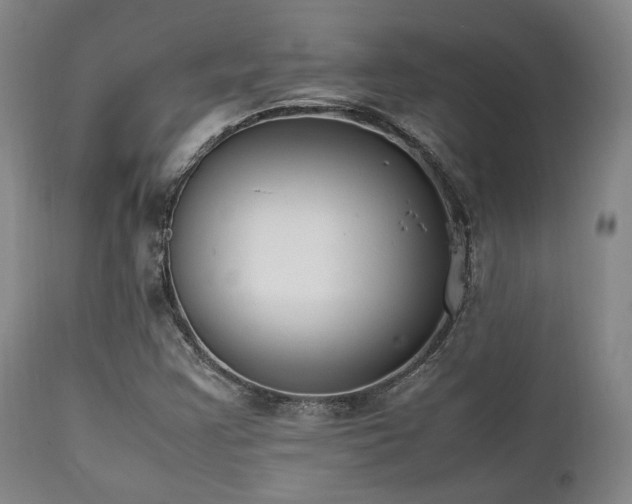 X0000112041355200908031506