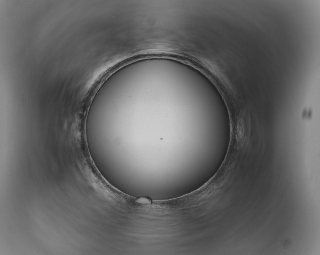 X0000112041356200908031506
