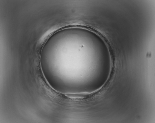 X0000112041359200908031506