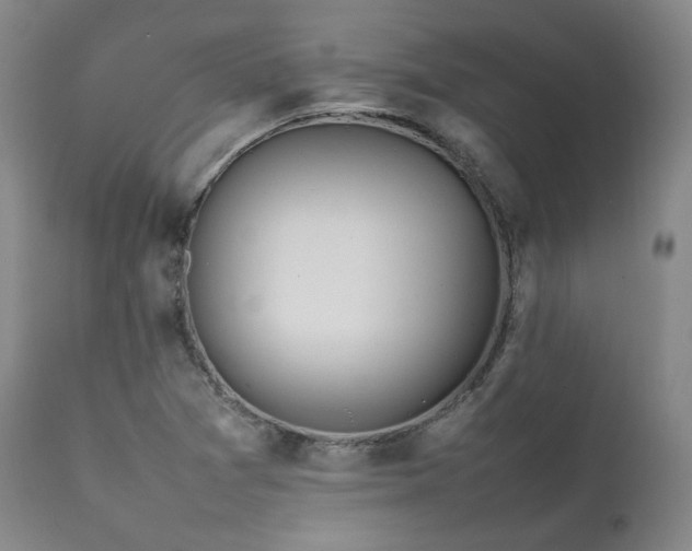 X0000112041361200908031506