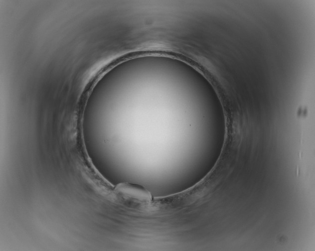 X0000112041364200908031506