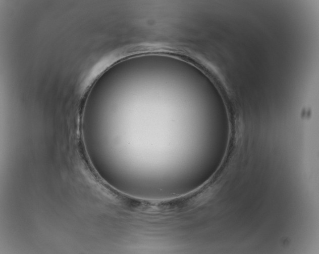 X0000112041365200908031506