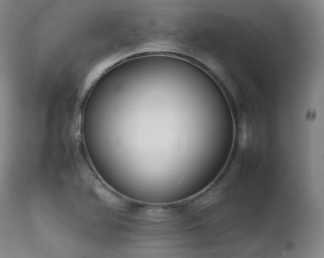 X0000112041366200908031506