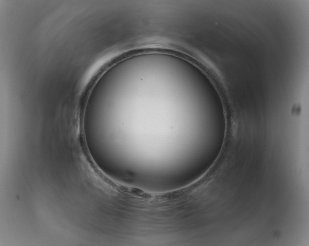 X0000112041368200908031506