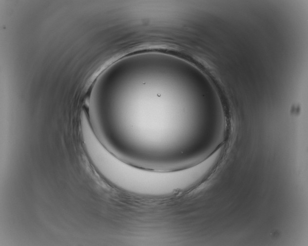 X0000112041369200908031506