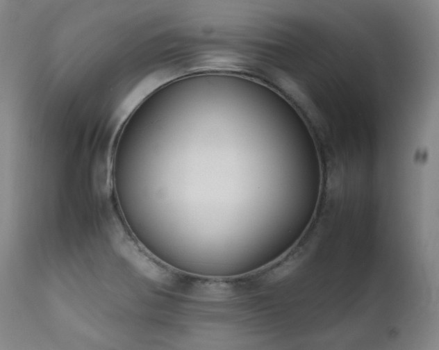 X0000112041370200908031506