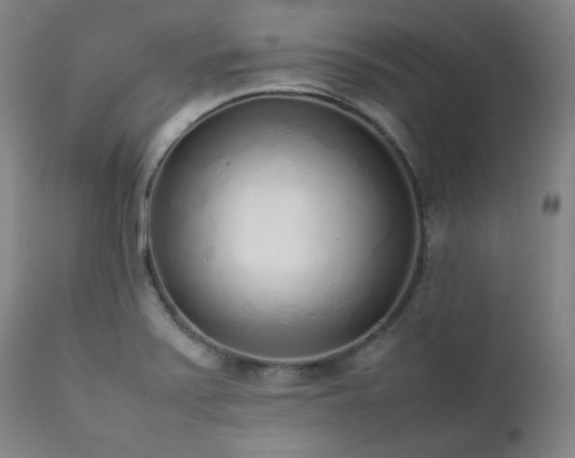 X0000112041371200908031506