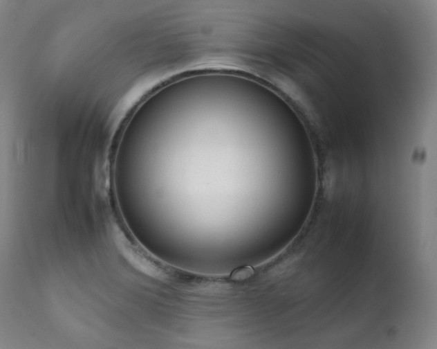 X0000112041372200908031506