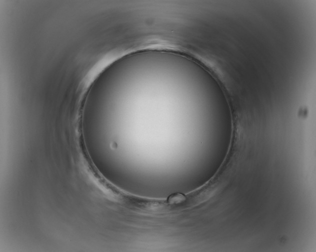 X0000112041375200908031506