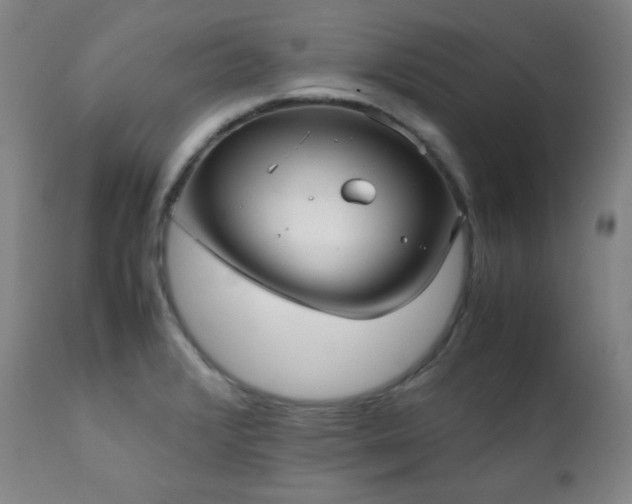 X0000112041376200908031506