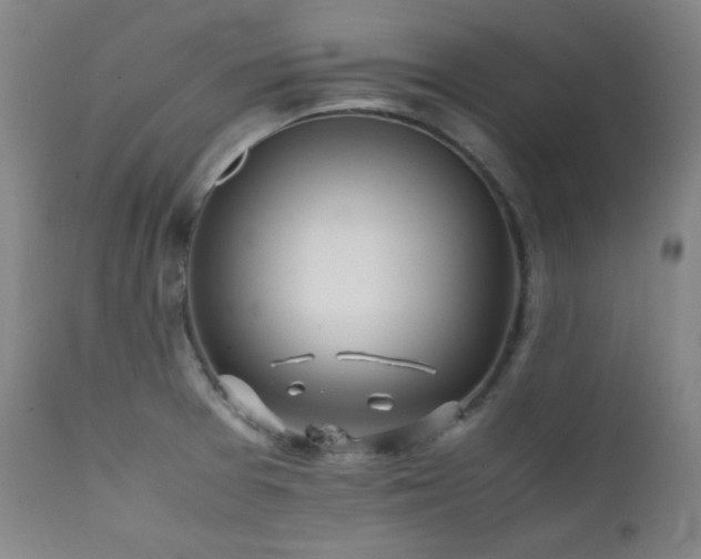 X0000112041377200908031506